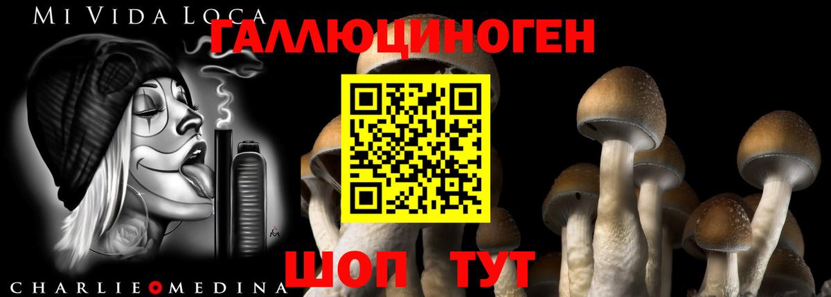 Псилоцибиновые грибы Cubensis  Вход с VPN  Кимры 